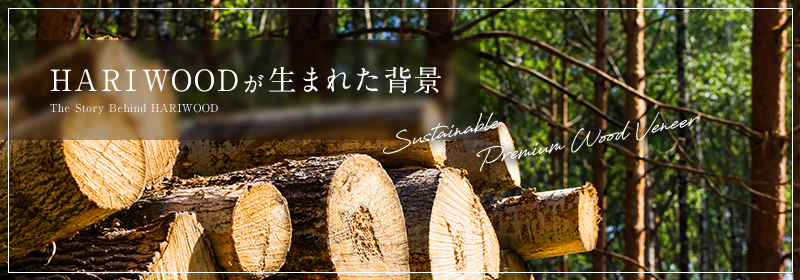 HARIWOODが生まれた背景