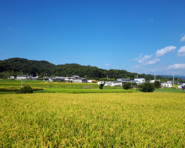 2026年 秋季休業につきまして